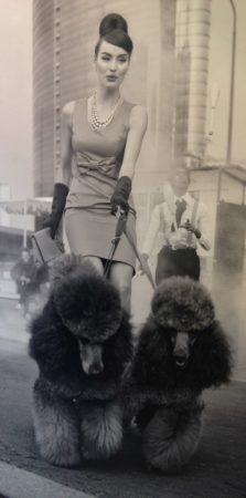 Lady walking a poodle 